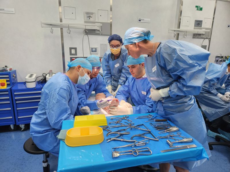 Surgical approaches and cadaver lab
